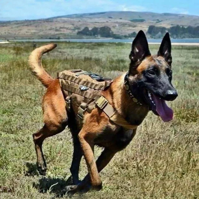 Тактический Полицейский K9 военный жилет для собак нейлон Молл охотничий патруль