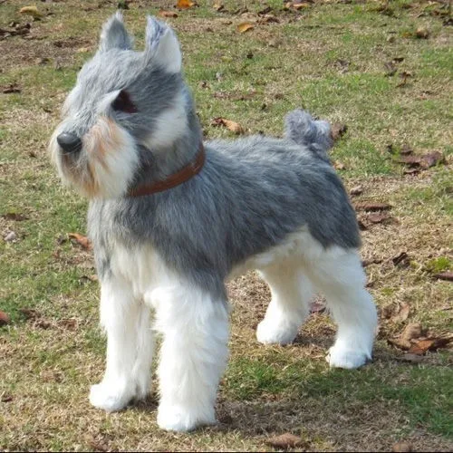 stuffed black miniature schnauzer