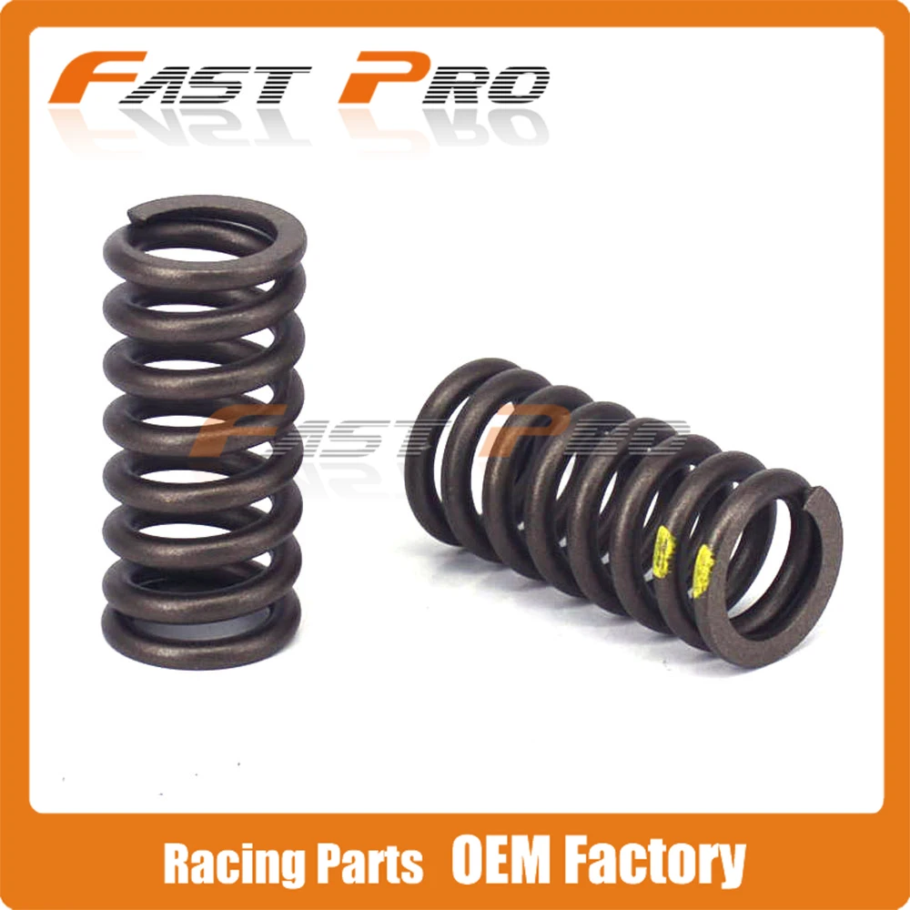 

High Performance Valve Spring Kit Motorcycle For ZS177MM ZONGSHEN Engine NC250 KAYO T6 BSE J5 RX3 ZS250GY-3 4 Valves Parts