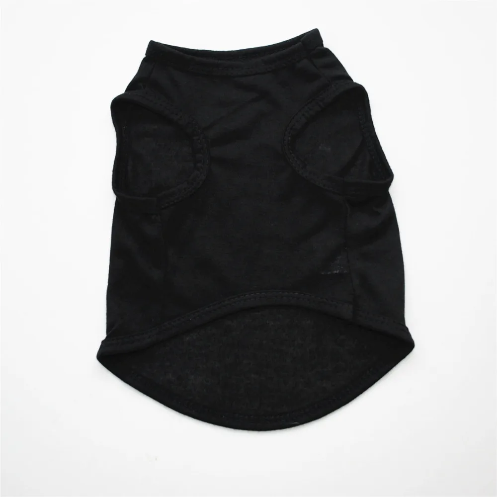 9068599513_361259826