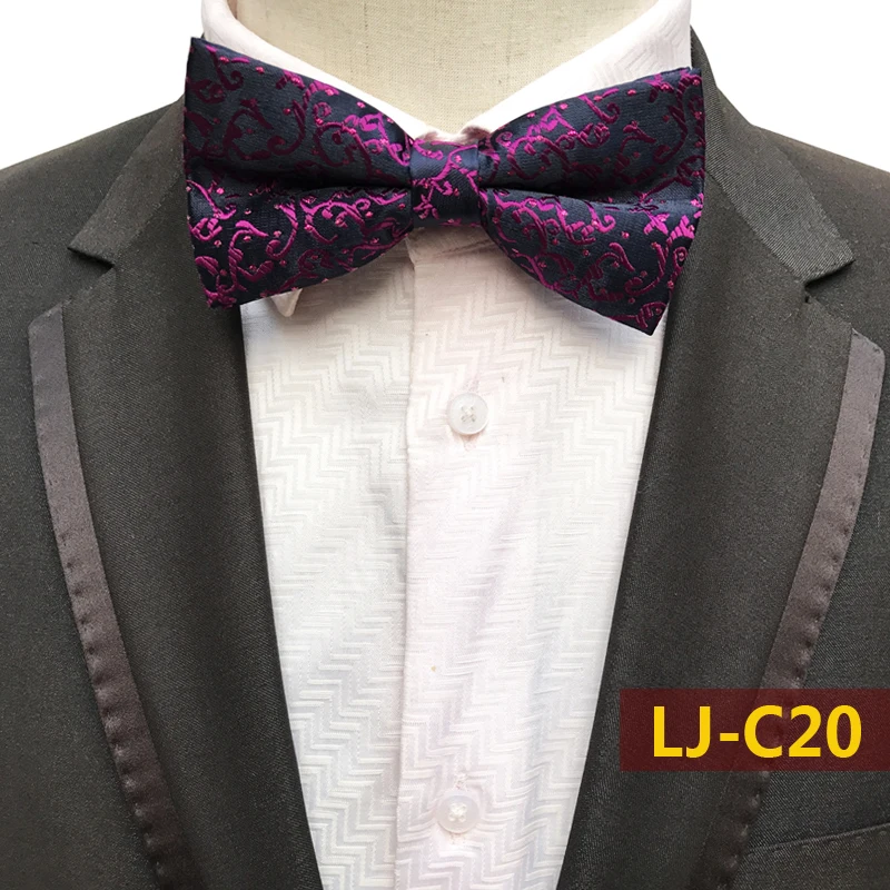 LJ-C20
