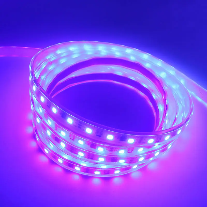 WS2811-60LED-12V-WT-IP67-9