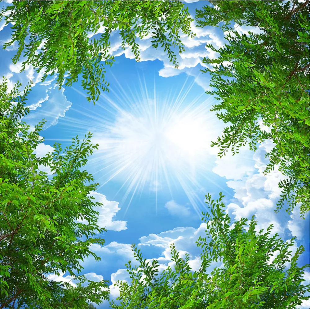 17283887-cbd81cd01d1bf4c487b8433e5d51a6d1-6