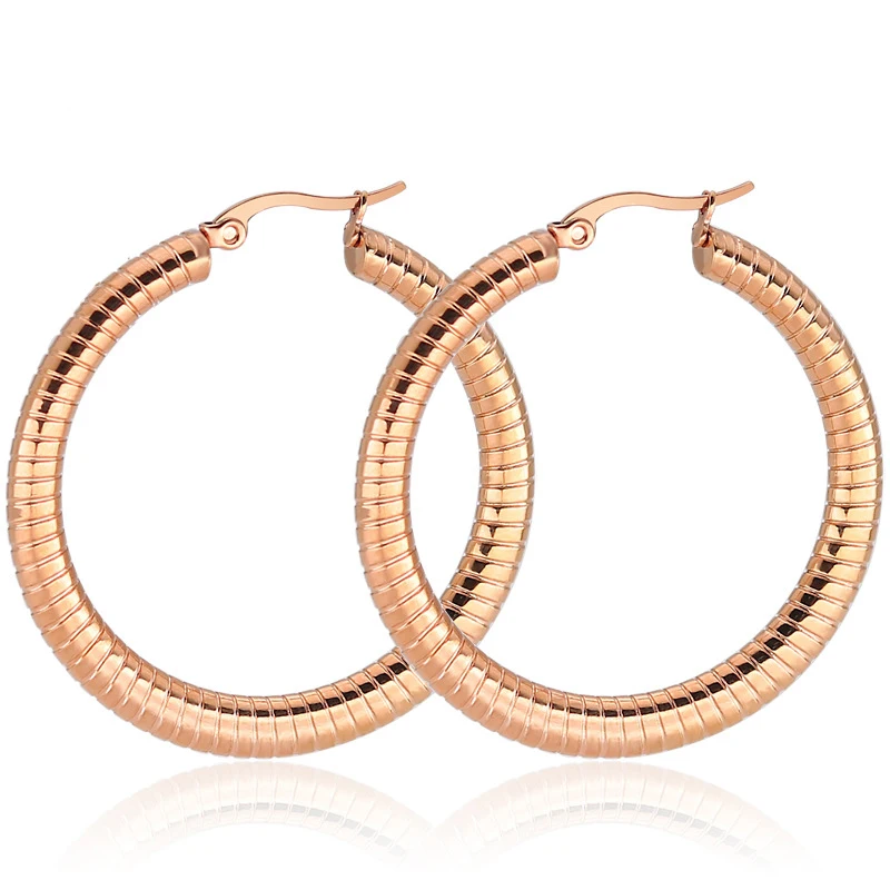 FairLadyHood New Arrival Trendy Hoop Earrings Round Stainless Steel