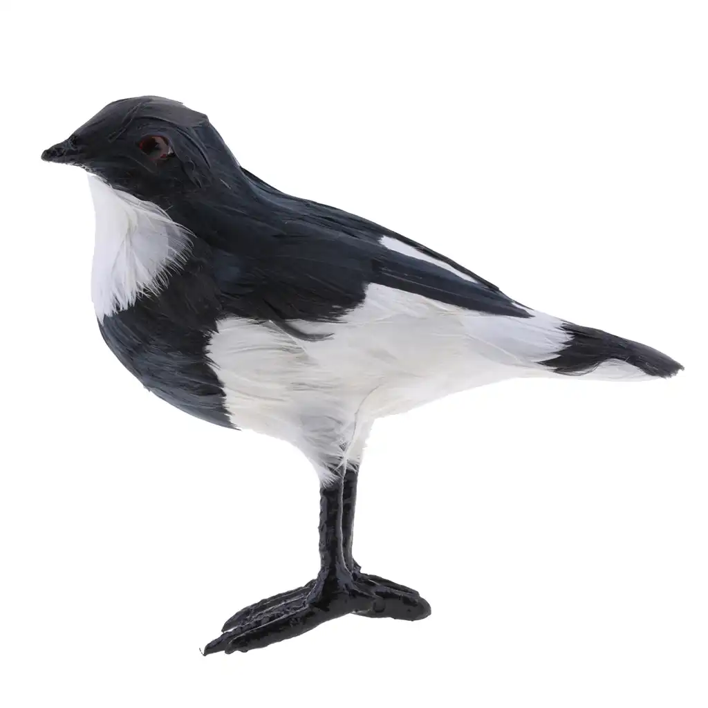 Садовая птица Пернатый орнамент Реалистичная Magpie дятел Шрайк Throstle животное