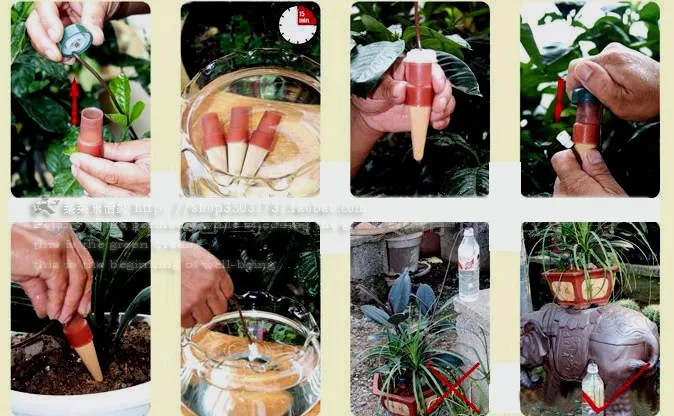 Новая 10 шт. автоматическая система полива комнатных растений Шипы воды для полива растений