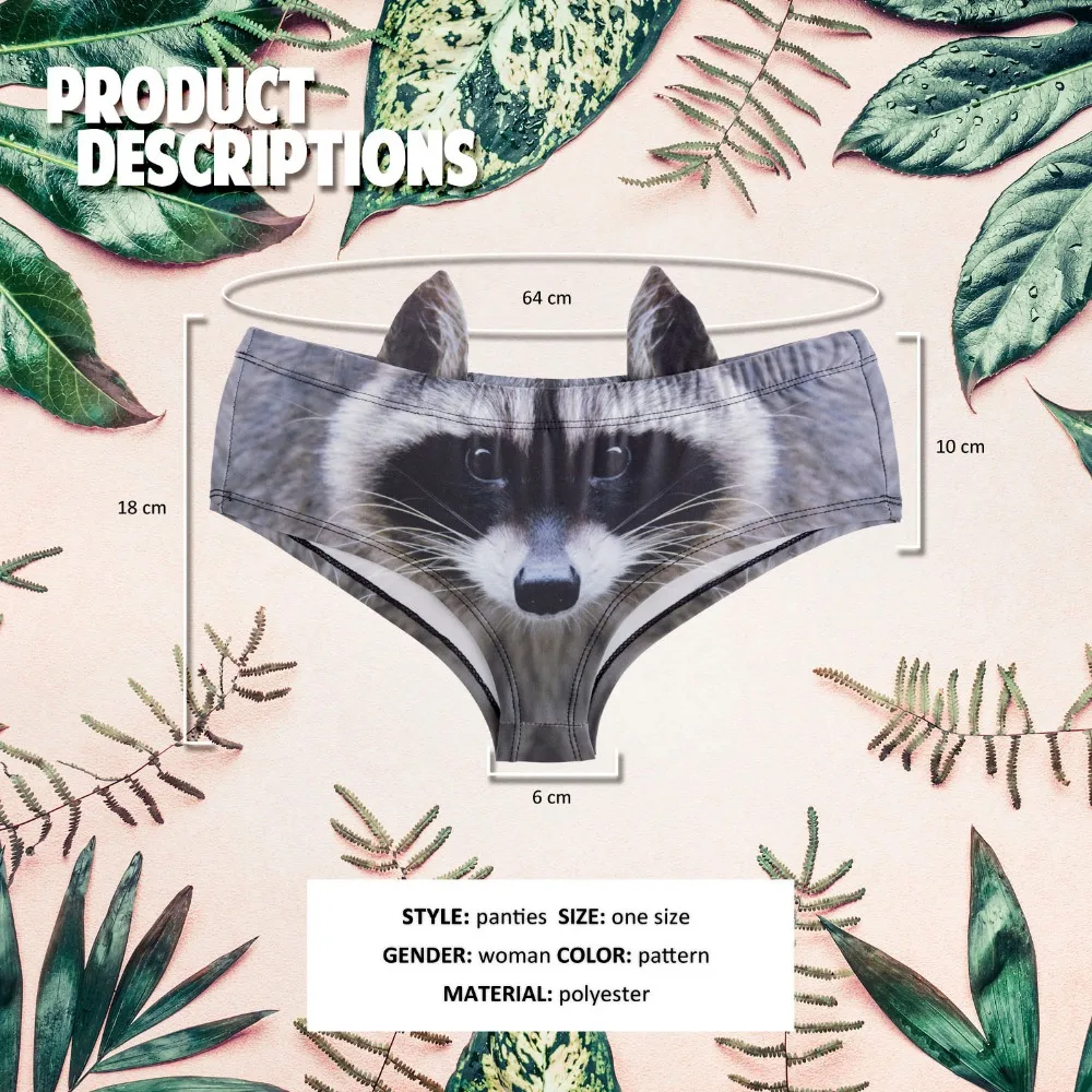 41071 raccoon (0)