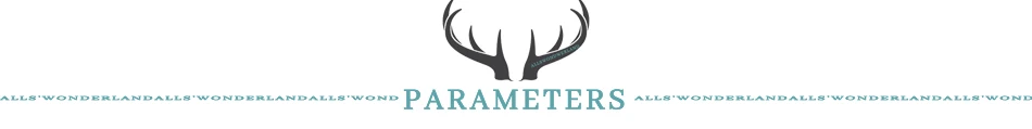 parameter-SMT1