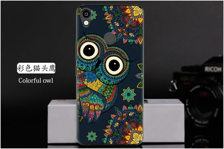  Colorful owl