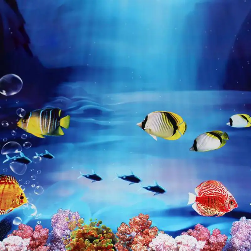 40/50cm(H) PVC Double Sided Aquarium Fish Tank Poster Background