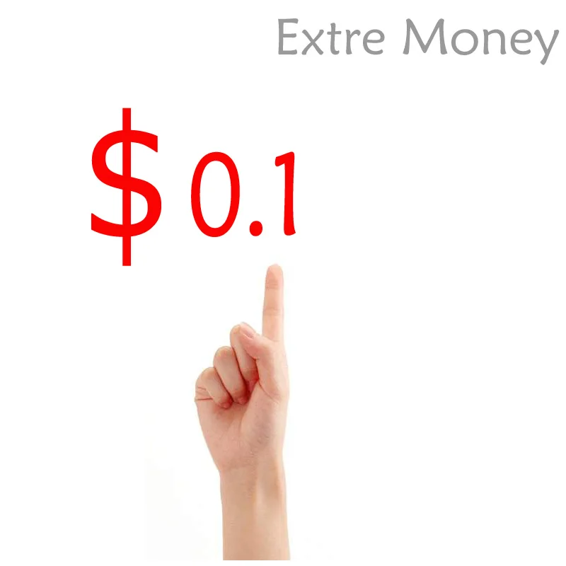 

Payment Link for Additional Cost Extra Fee