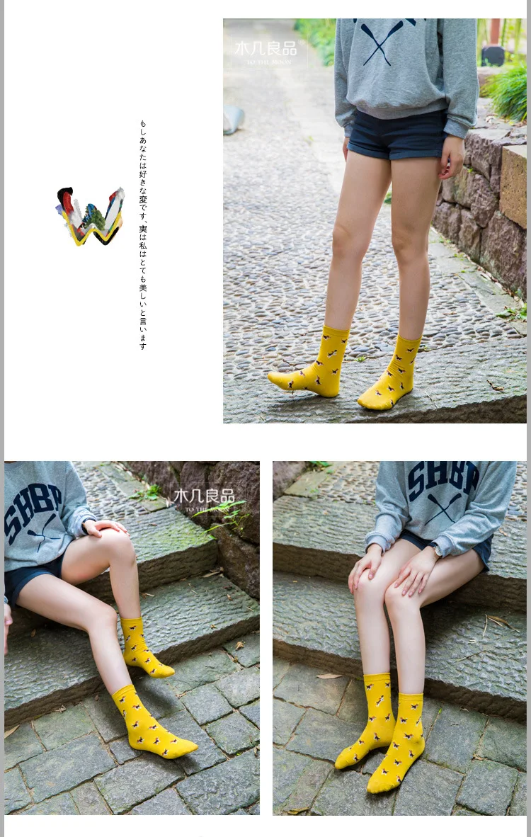 2476182785_1523979896