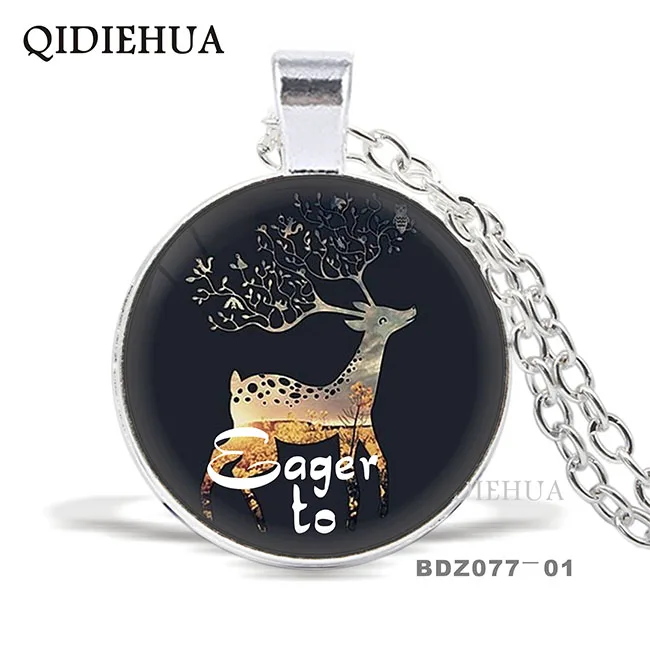 BDZ077-01