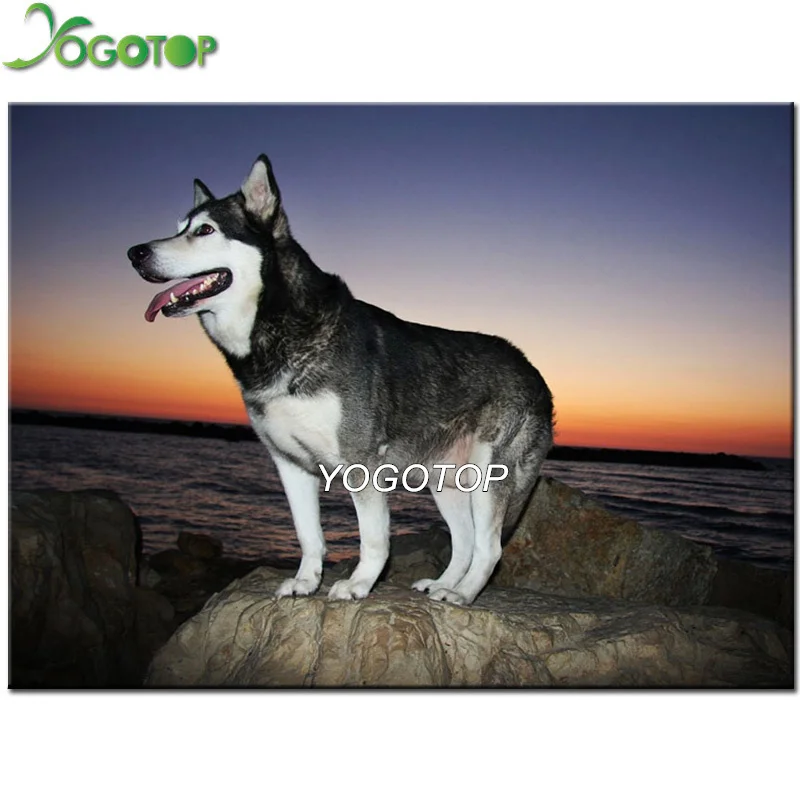 Алмазная живопись YOGOTOP 5D сделай сам мозаика из Аляски Malamute 3D вышивка крестиком