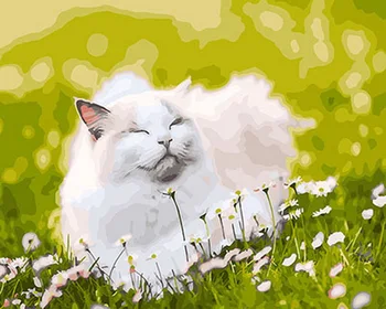 

Frameless painting by numbers paint by number for home decor PBN for living room 4050 white kitty