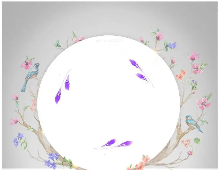 led ceiling lamp (2)