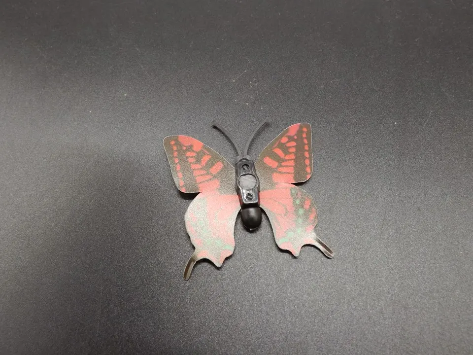 I245-Butterfly (9)