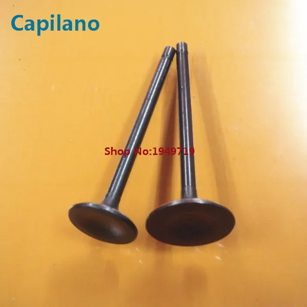 CG150 engine valve (3)