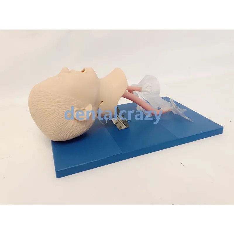 

New born/baby/child cardiopulmonary resuscitation simulated pseudo-human tracheal intubation model