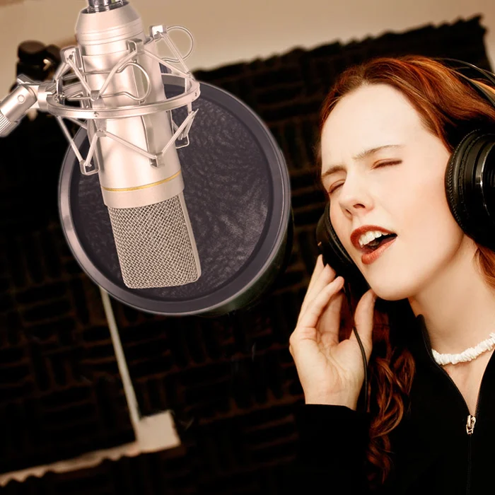 

Free Shipping! Professional Condenser Sound Recording Microphone USB Microphone with Shock Mount for Radio Braodcasting Singing