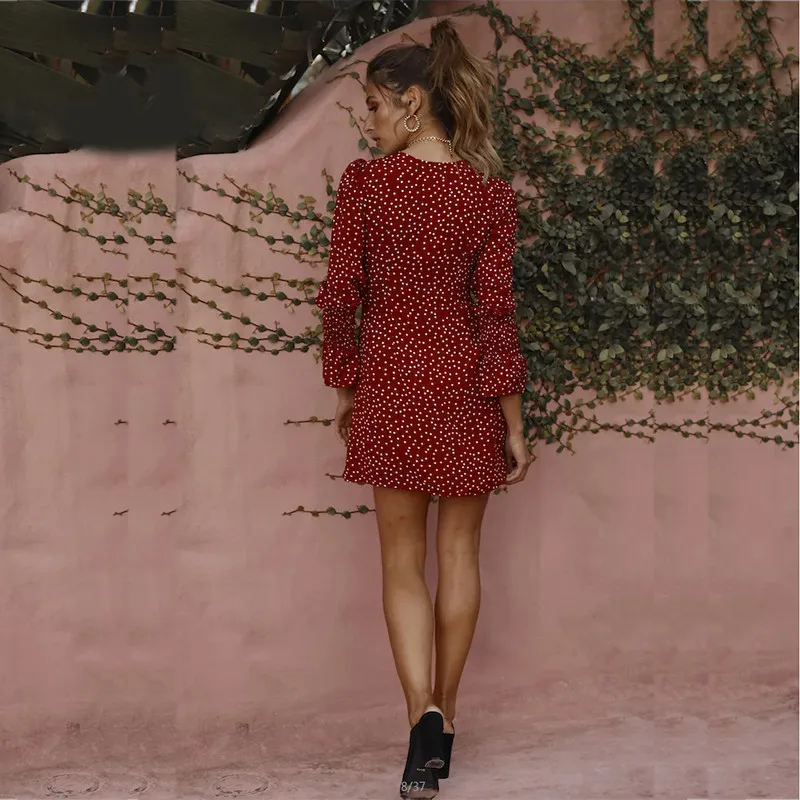 yinlinhe Red Polka Dot Summer Dress Long Sleeve 2018 Vintage V neck Button Dress Women Sexy Elegant Beach Vestidos   4