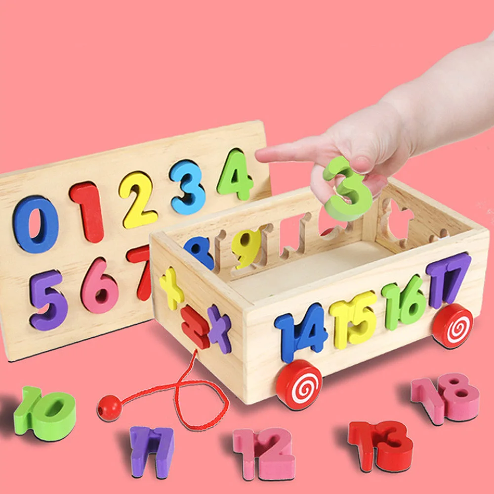 ZS (8)