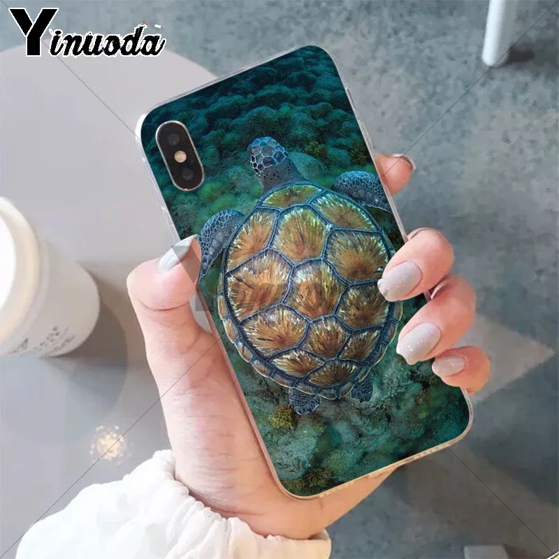 watercolor Turtle Tortoise