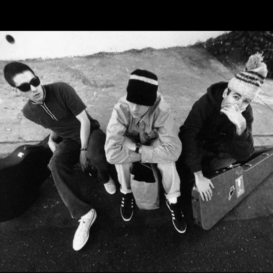 Beastie Boys Check Your Head Laminated Poster (24 X 36)