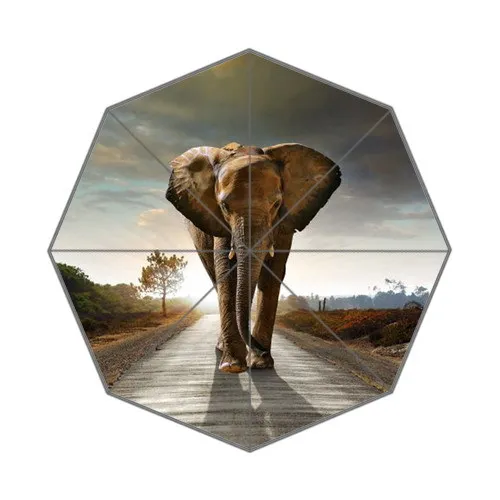 elephant umbrella stroller