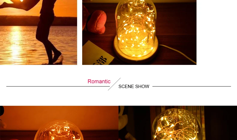 Romantic LED Night Light Copper Wire Lights USB Charging Firework Glass Table Lamp Led String Night Light (4)