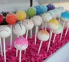 100 pcs Pop Sucker Sticks Chocolate Cake Lollipop Lolly Candy Making Mould White ► Photo 2/6