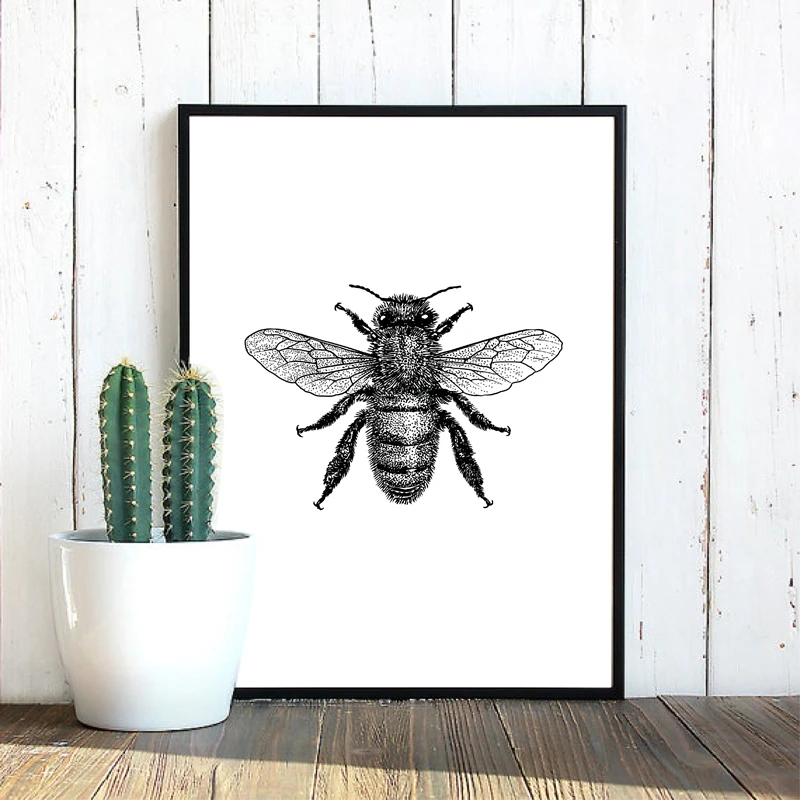Know illustration canvas prints