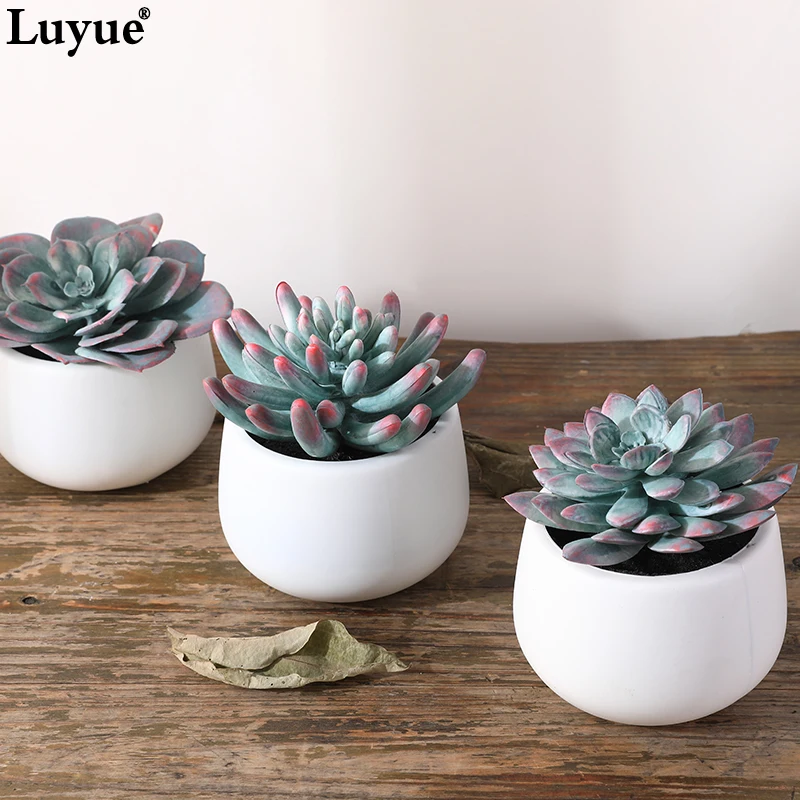 Luyue Balcony Fleshy Garden Vase Artificial Flower Plant Red gray flowers bonsai Noble for Hotel Shop Home balcony decoration Luyue Balcony Fleshy Garden Vase Artificial Flower Plant Red gray flowers bonsai Noble for Hotel Shop Home balcony decoration