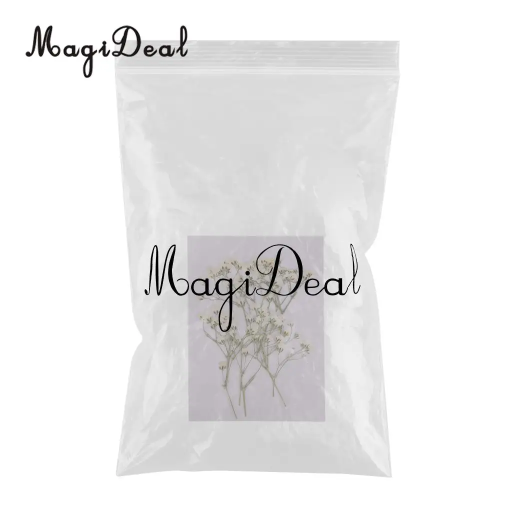 10Pcs Beautiful Pressed Real Baby's Breath Flower Dried Flowers for Art Craft Scrapbooking Card Making Resin Mold Filler 