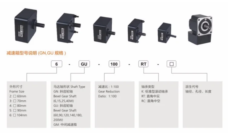 GPG motor-2