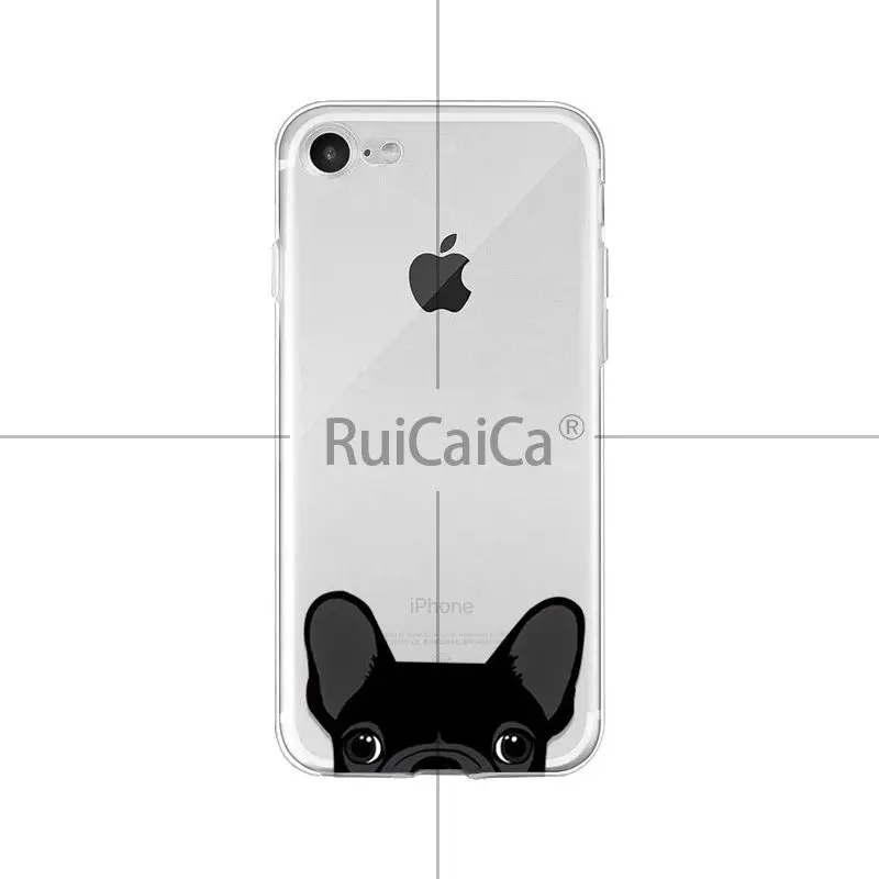Cute and funny pet dog cat head