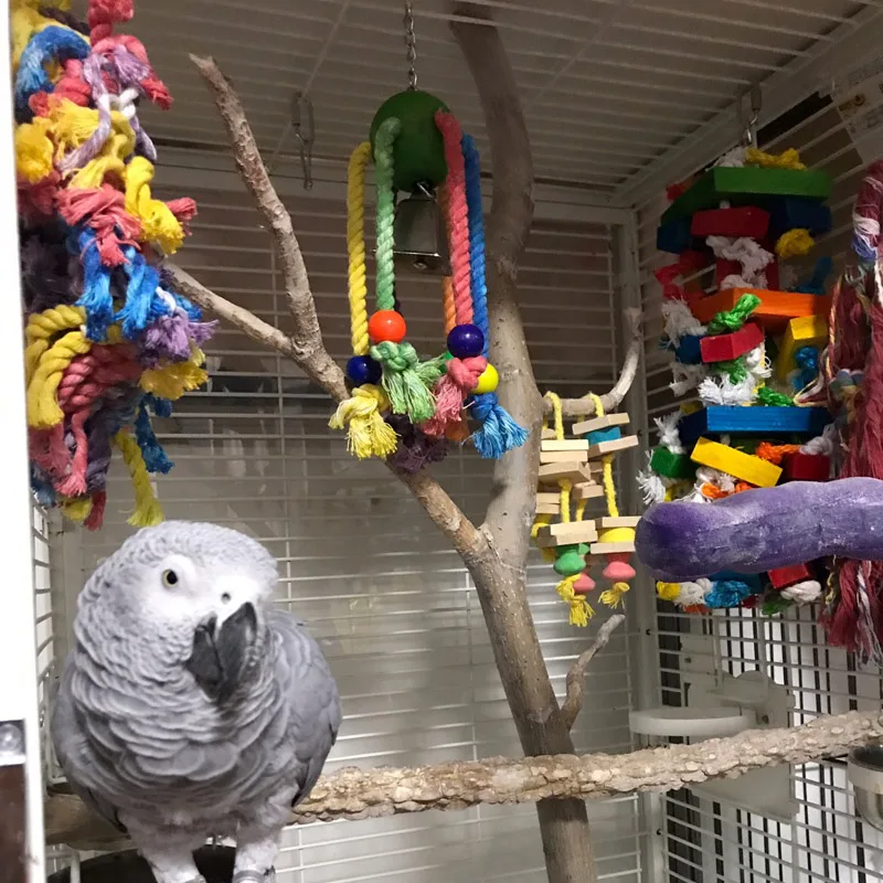 CAITEC Bird Chew Toys Arachnid Parrot Chew Bite Toys Suitable for Small to Large Size Parrots