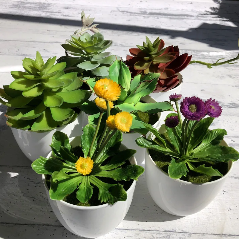 Buy Artificial Succulent Plant With Vase Desert Plant