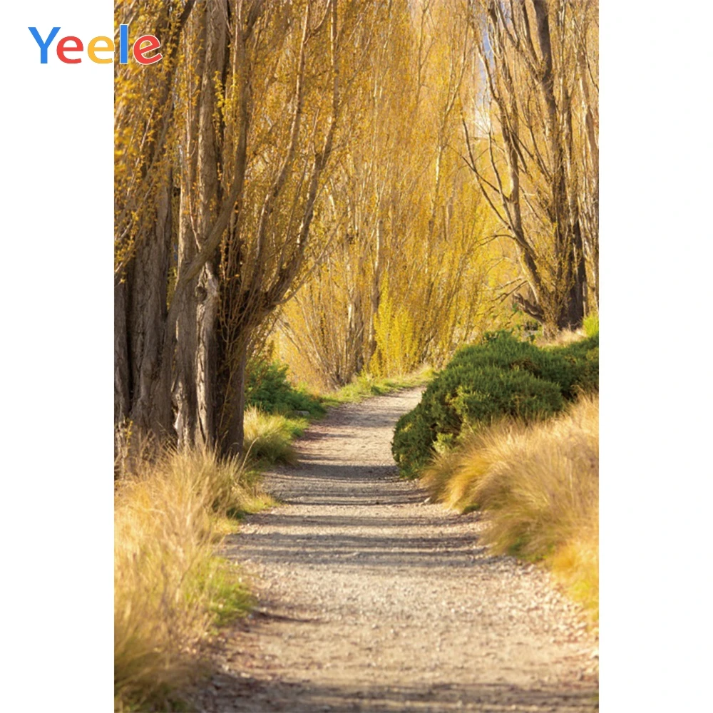 

Yeele Autumn Forest Road Trees Scenery Boulevard Photography Backgrounds Personalized Photographic Backdrops For Photo Studio