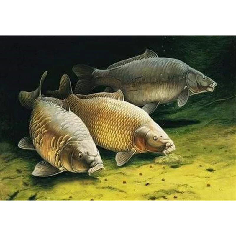

Diy round Daimond Painting Cross-stitch Three Carp Diamond Painting mosaic Rhinestones Paintings Embroidery Craft Gifts v621