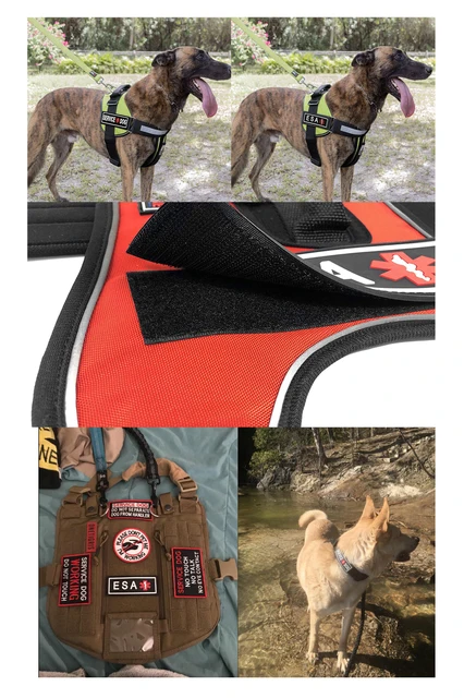 14Er Tactical Service Dog Patches Ask to Pet, Do Not Pet, in