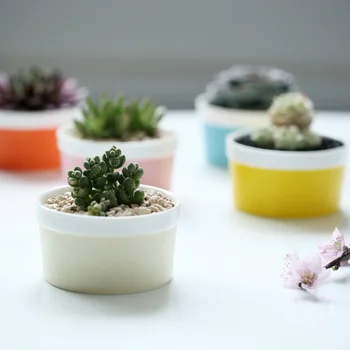 

garden supplies colorful basic small garden flower pots planters ceramic desktop office home decorative flower green plant pts