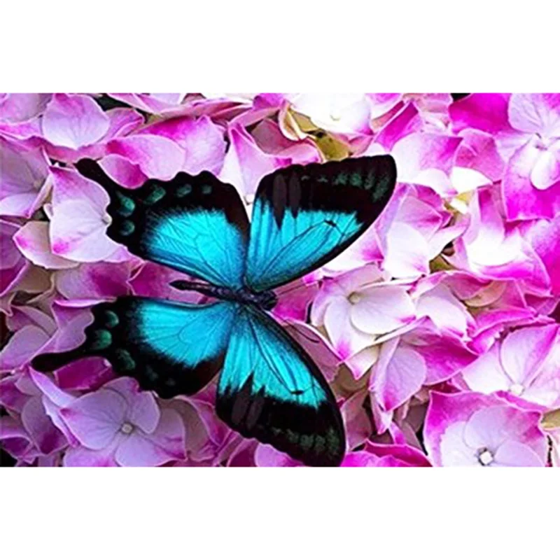 яркие бабочки в картинах. картина по номерам 40х40 бабочки. бабочки. номер бабочки. бабочки над цветами живопись.