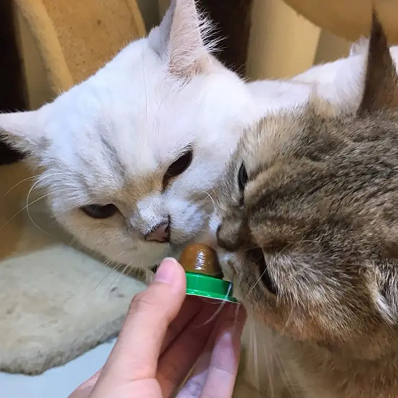 

Cat Treats Energy Ball with Natural Catnip Cat Snacks Licking Sugar Snacks Ball with Sucker Candy Nutrition Cream Pet supplies