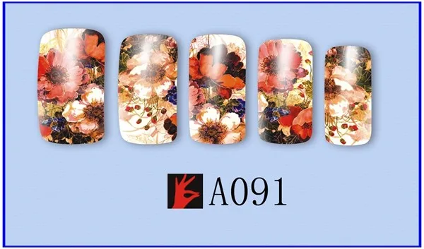 A091