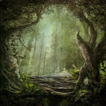 

7x10ft Foggy Forest Background Wooded Forest Trees Photo Backdrop Z-119