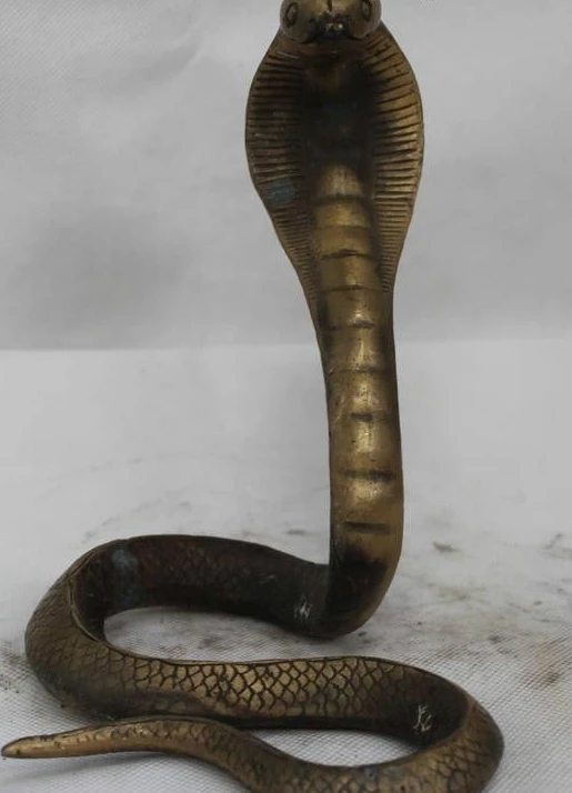 

8"China Bronze YuanBao Money Snake Cobra Chinese Zobiac Year Animal Of Statue