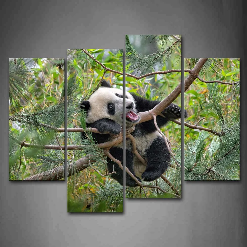 

Framed Wall Art Picture Panda Tree Branch Canvas Print Animal Modern Poster With Wooden Frame For Home Living Room Decor