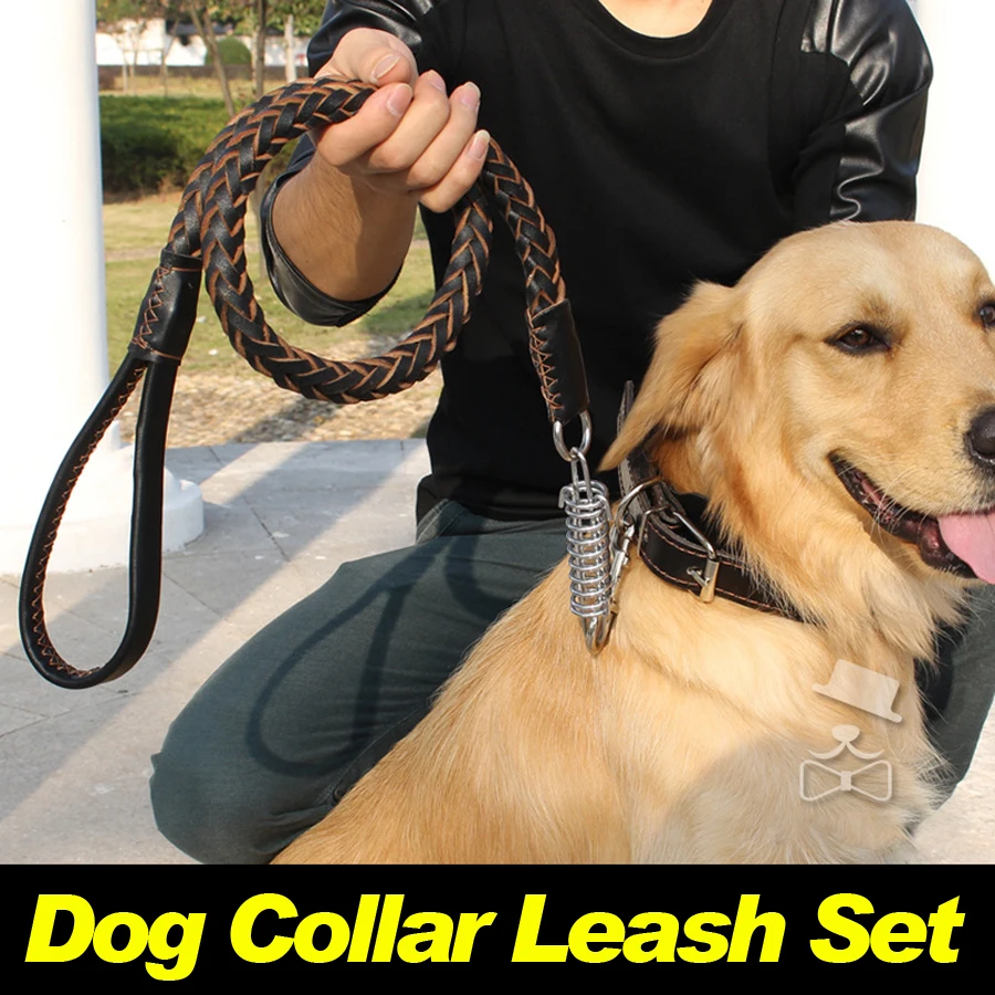Genuine Leather Meidum Large Big Dog Leash Collar Set Necklace Chain