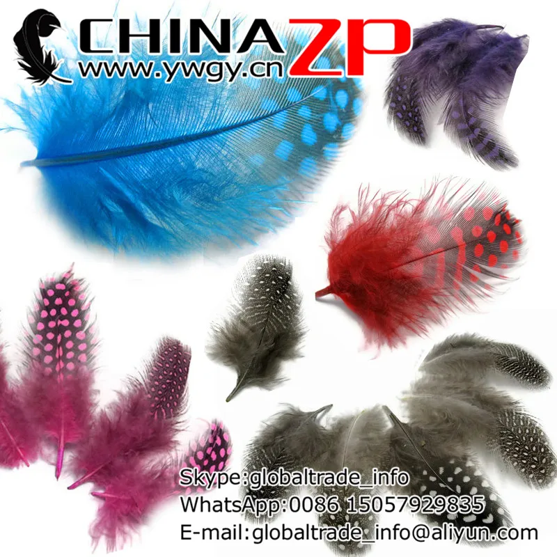 Розничная и оптовая продажа CHINAZP Factory www.ywgy.cn 200 шт./лот перья в горошек натуральная